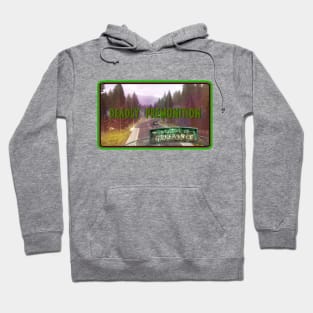 Deadly Premonition Opening Theme Hoodie